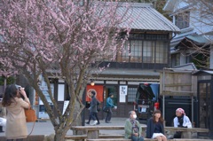 祖母と春と