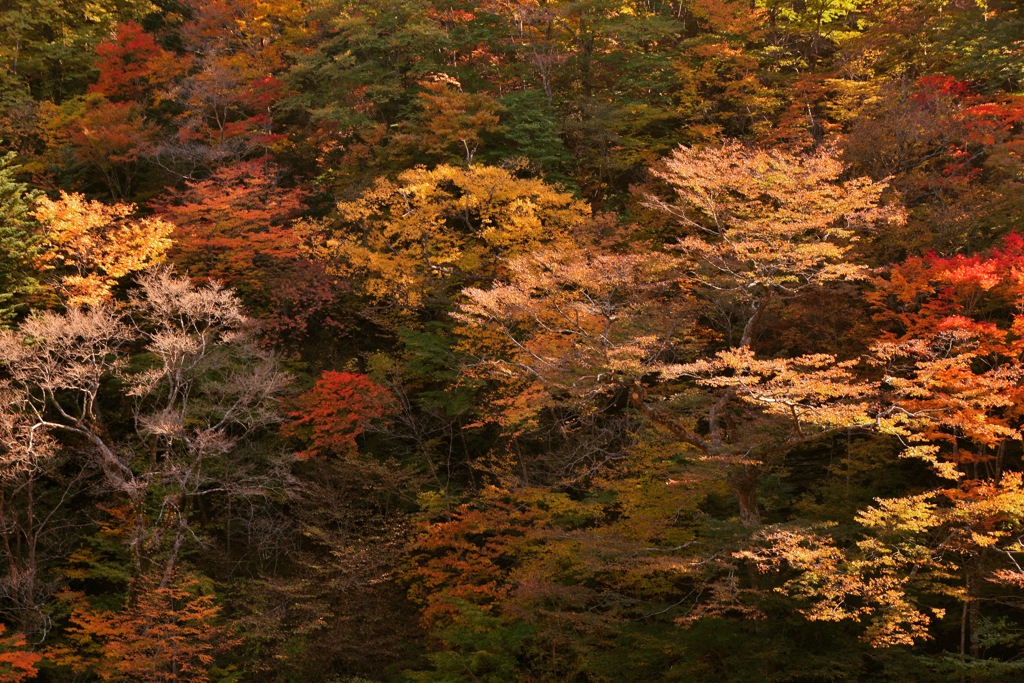 深山