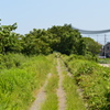 DSC_0294