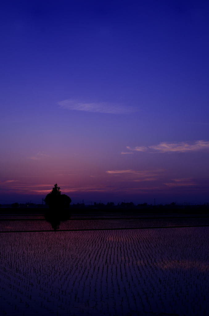 田園　magic hour