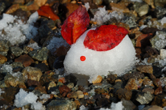 秋の雪うさぎ　