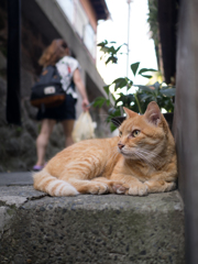 見守り