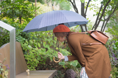 雨宿り