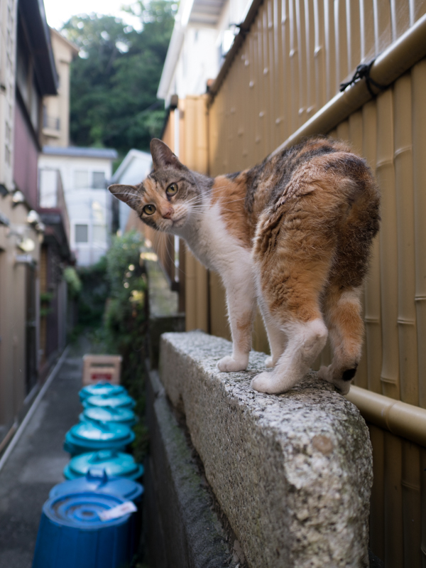 見返り