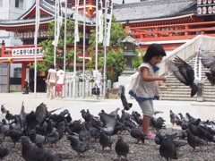 鳩と女の子
