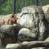 日本平動物園②