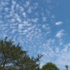 空がキレイ