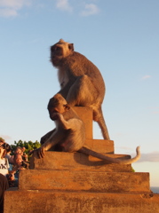 Trip for Bali No.14