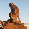 Trip for Bali No.14