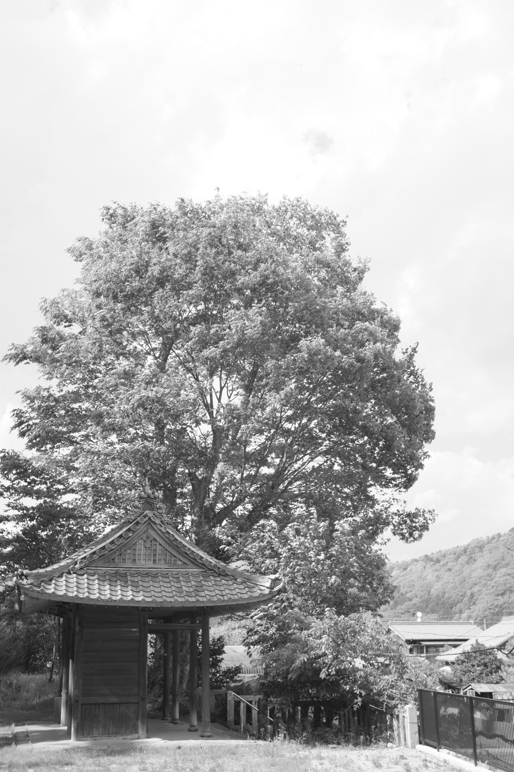風待
