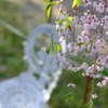 花と椅子