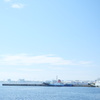 春からのたより