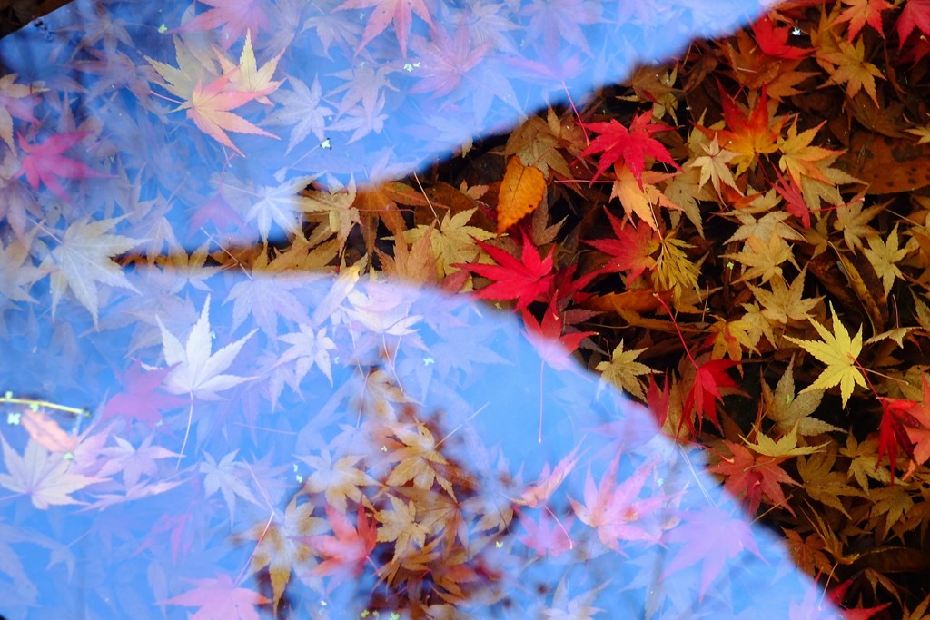 過ぎ行く季節の中で