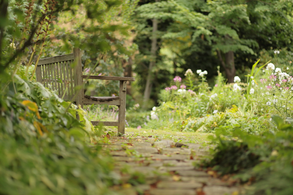 ｇａｒｄｅｎ