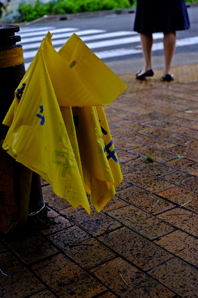 雨日