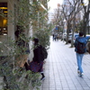 冬マチブラ