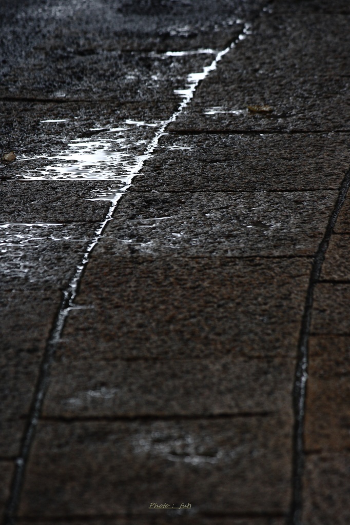 雨