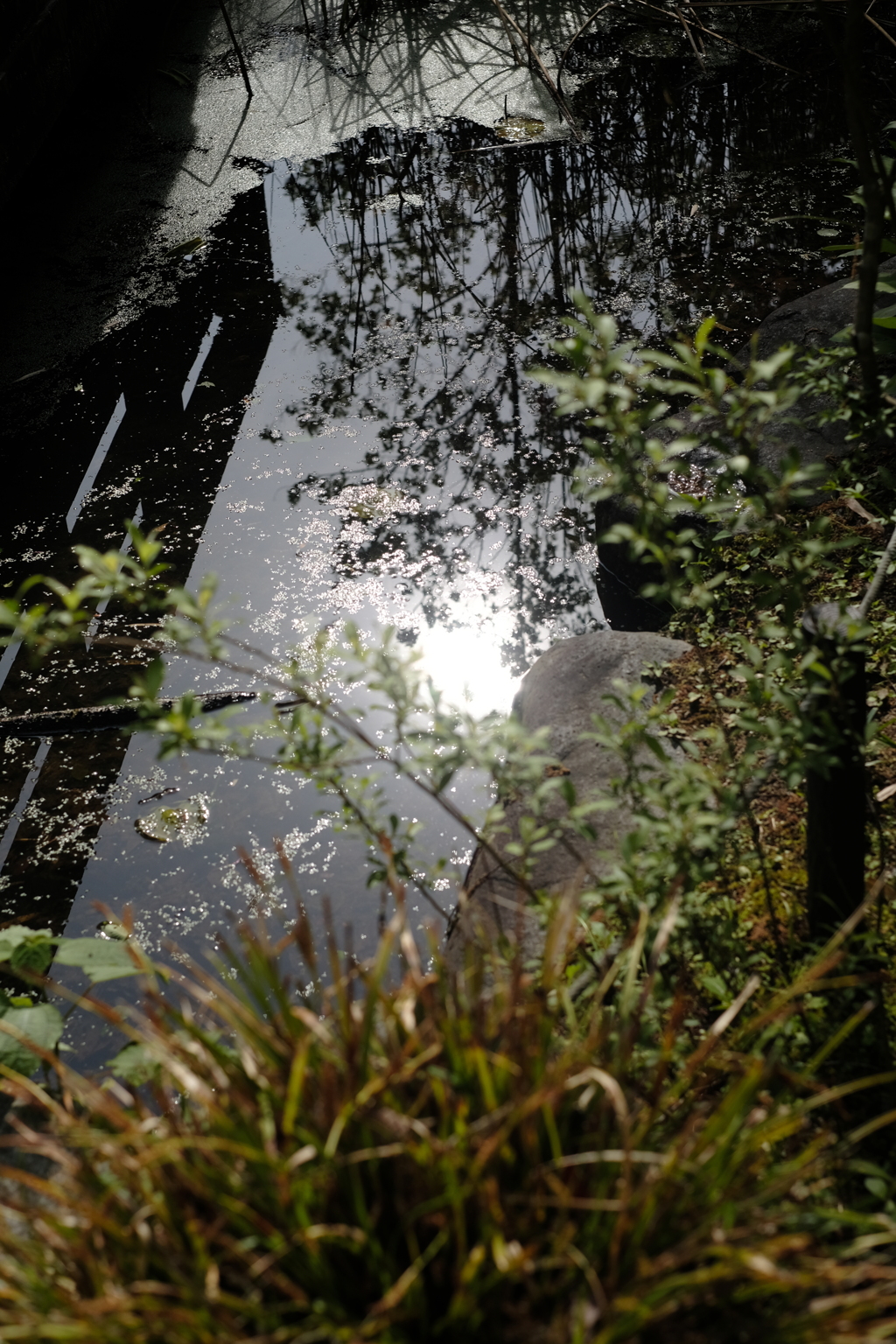 湖水