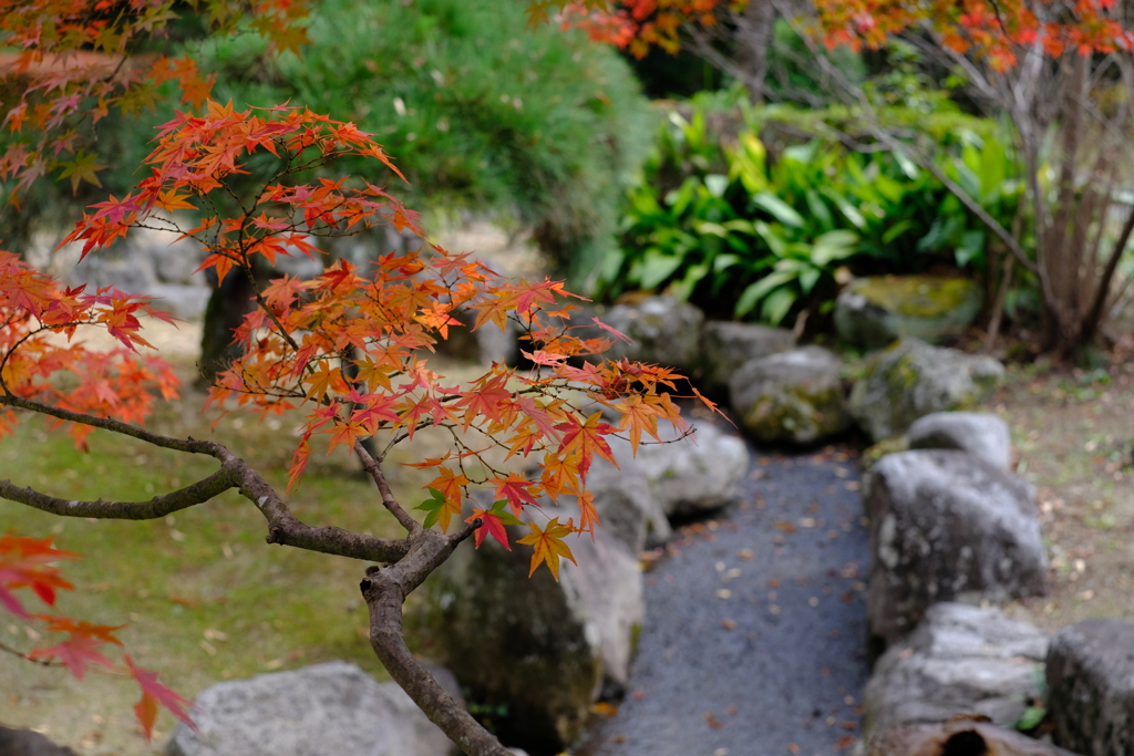 秋の園