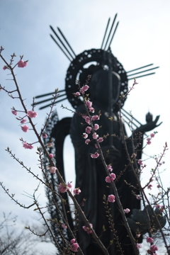 摩耶　天上寺