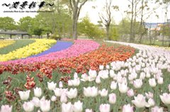 カラフル・アーチ