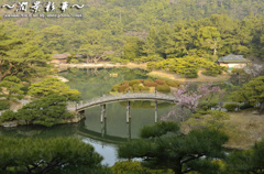 初春の栗林を眺めて