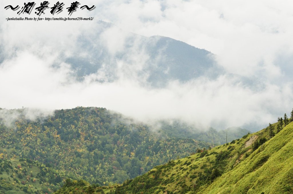 雲隠れした憧れ