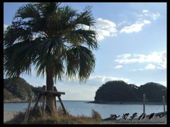 １月２日　夏宮崎