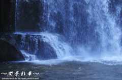 まるで雪のように