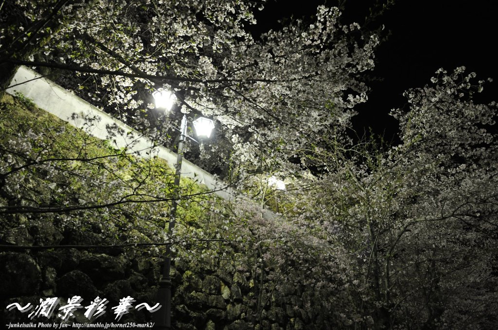 城壁を見上げて