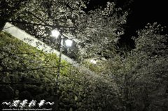 城壁を見上げて