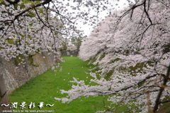 城壁の隙間から