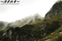 まるで沸き立つように