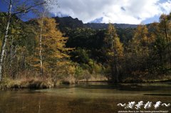 田代池の秋から