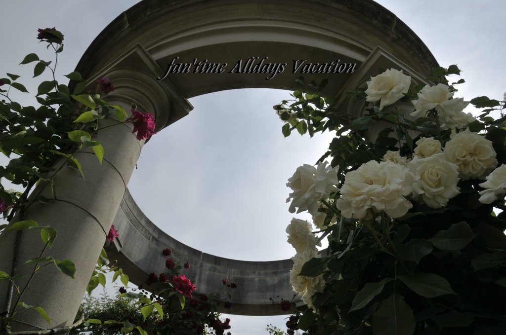 ローリング・ローズ