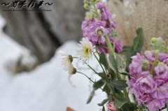 雪の中で健気に