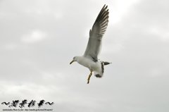 天から降りる時