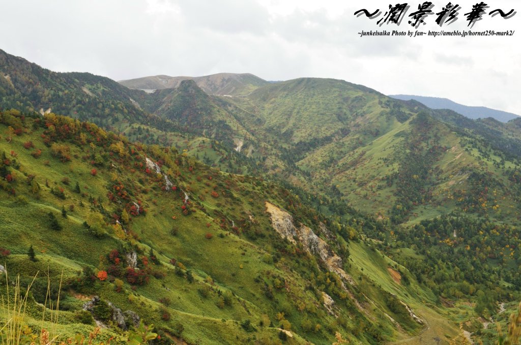 赤の点在する傾斜