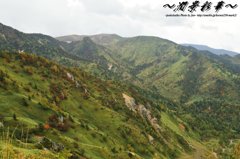 赤の点在する傾斜