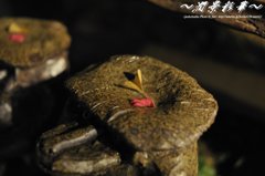 ひとひら・ふたつ