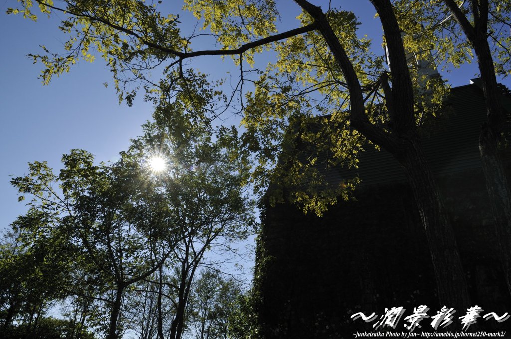 晴天の教会から
