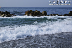 岩波が来る時