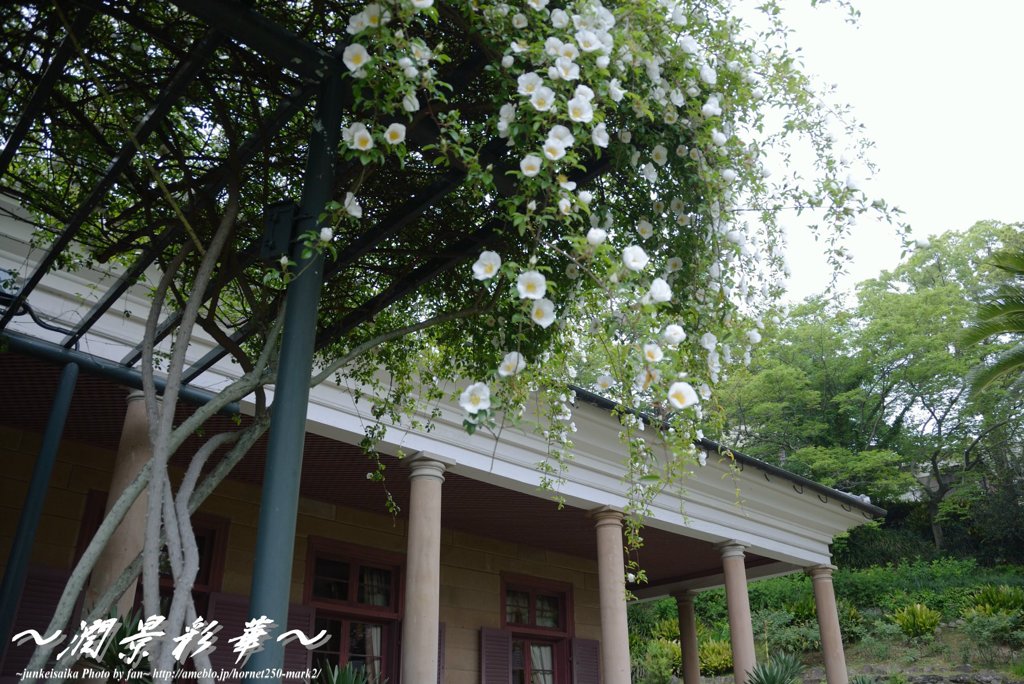 旧オルト邸の門より