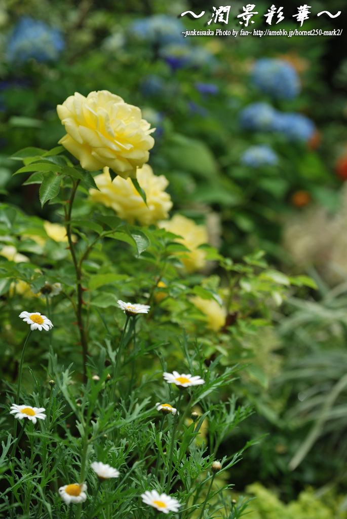 緑の中にひっそりと