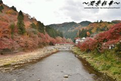 巴川岸を赤く染めて
