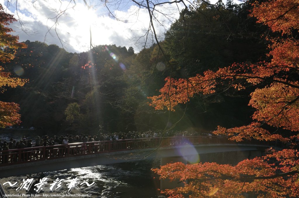 待月の太陽