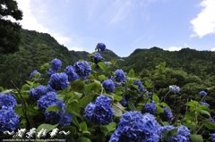 青空と、山を見て