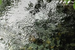 どこまでも澄んで