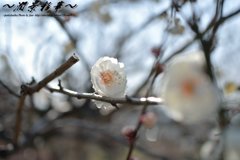 陽気に包まれて