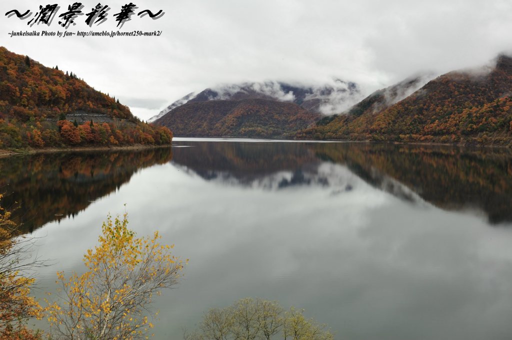 御母衣湖畔に映る